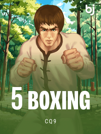 ৫ বক্সিং game thumbnail